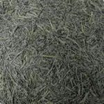 Photo-Sencha-Asanoka