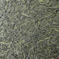 Thé vert Sencha Yatamadori 2025, feuilles vert foncé en forme d'aiguille en vrac, vu de près.
